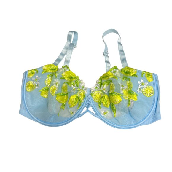 Victoria's Secret Dream Angels Lemon Embroidery Demi Bra 36DD Breaker Blue - Picture 1 of 8